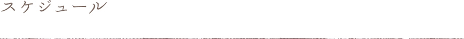 スケジュール